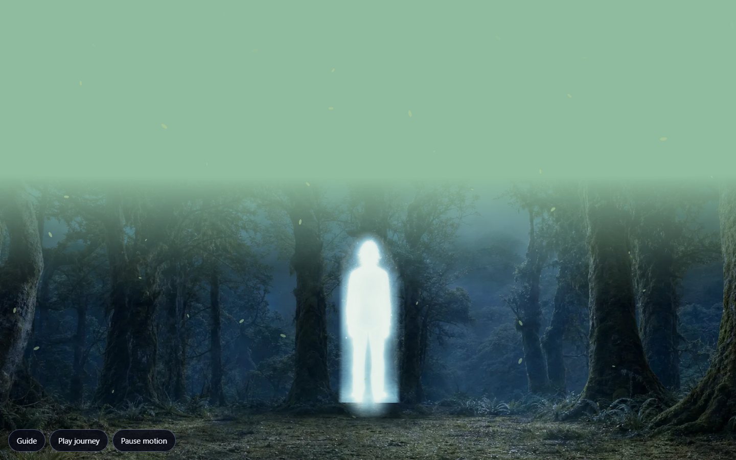 The preview during an arrival: soft light above, the forest appearing below