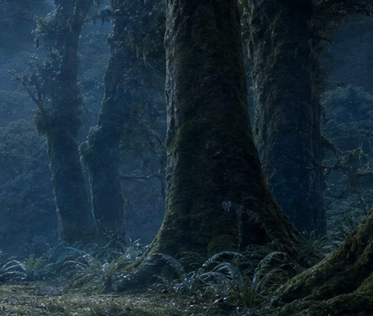 Detail of approved FOREST-1a: a tree trunk