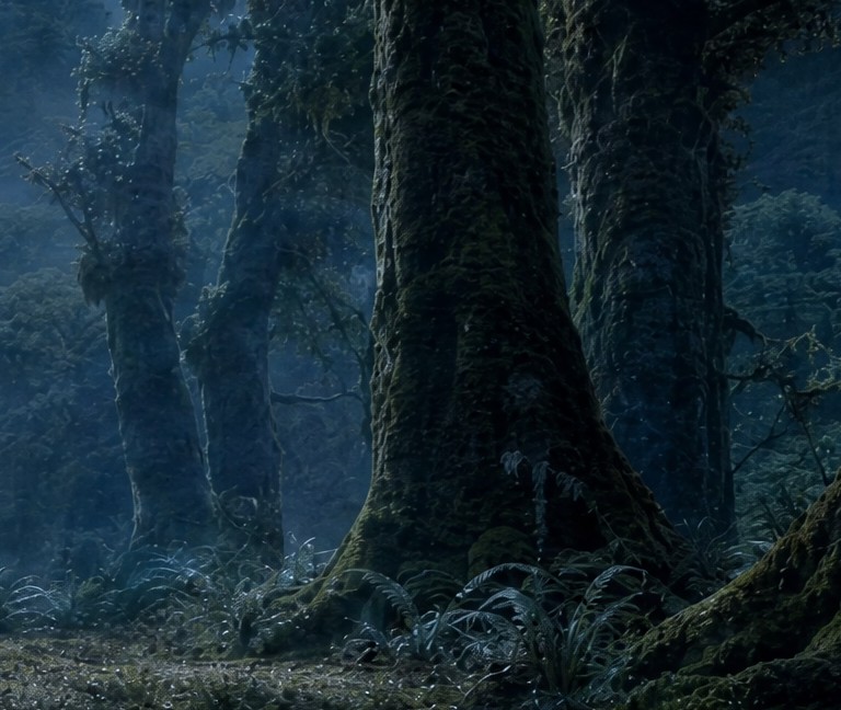 Detail of GPT Image 2 4K: a tree trunk